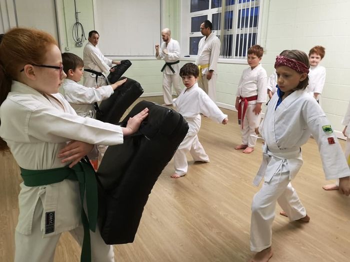 Learn the Importance of Virtue and Strength Through Shotokan Karate