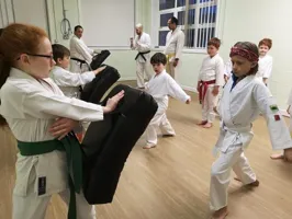 Shotokan Karate